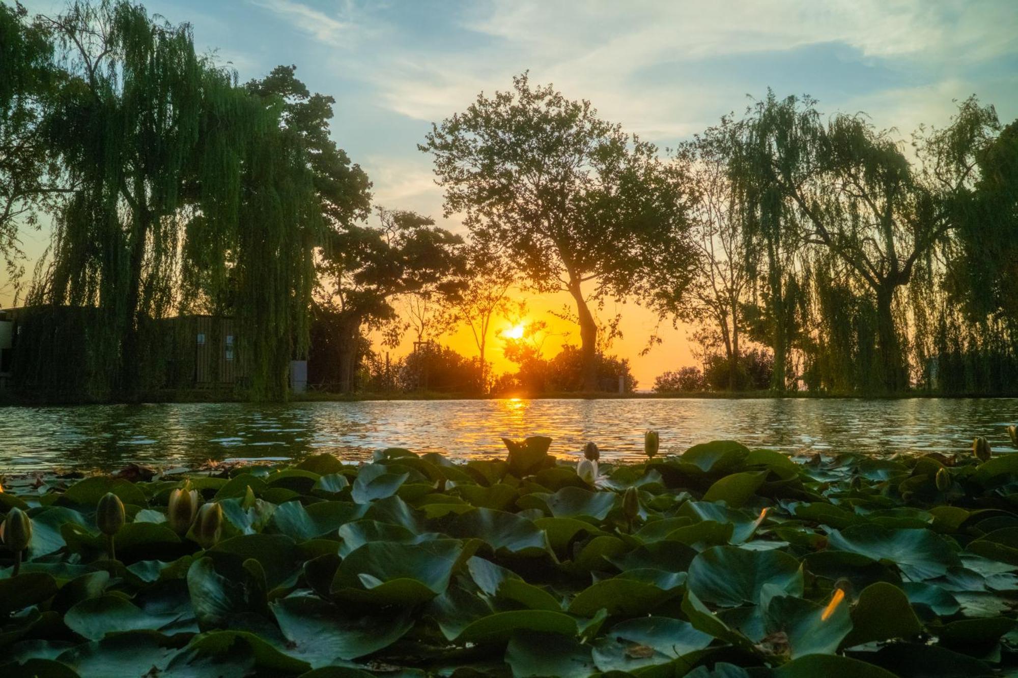Trasimeno Glamping Resort マジョーネ エクステリア 写真